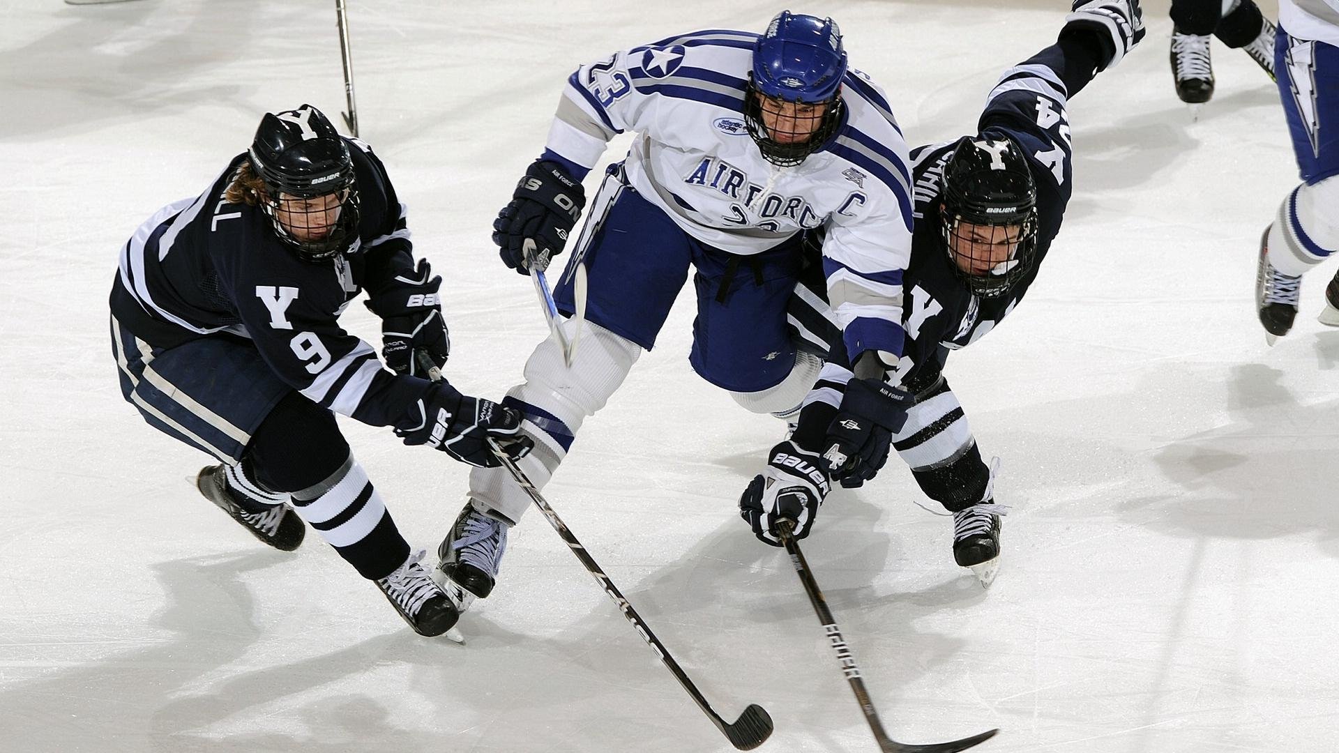 体育新闻中心启动体育内容原创保护专项行动，体育新闻专题报道